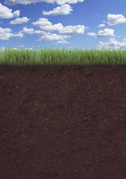 Corte del terreno con tierra, hierva y cielo