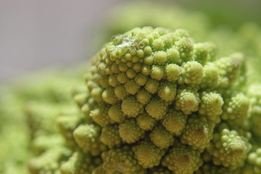 Romanesco_Planta_de_col