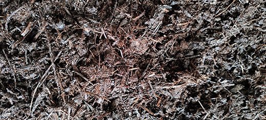 La_Perla_Verde_Humus_de_lombriz_520x233